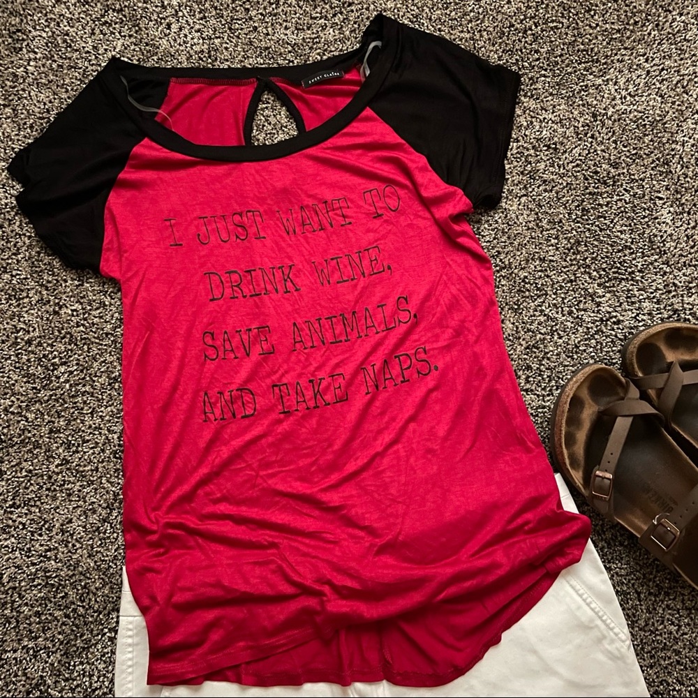 Drink Wine 🍷 Save Animals 🦔 Take Naps 💤 Graphic Tee